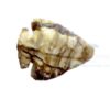 1 inch Agate Stone Arrowheads