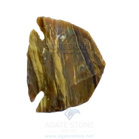 Fish Shaped Agate Stone Arrowhead Fish Shaped Agate Stone Arrowhead