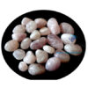 Rose Quartz Tumbled Stones