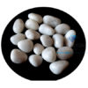White Moonstone HealingTumbled Stone